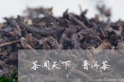 茶闻天下 普洱茶/2023041297381